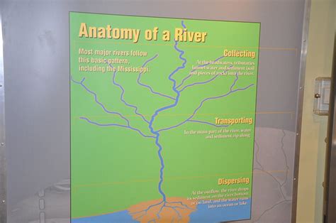 Anatomy Of A River Flickr Photo Sharing