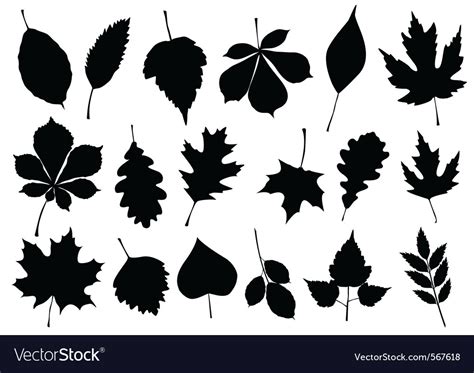 Autumn Leaf Silhouettes Royalty Free Vector Image