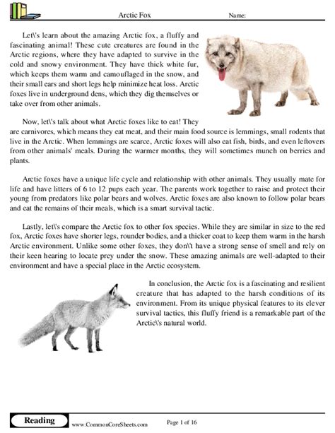 Arctic Fox Worksheet Download