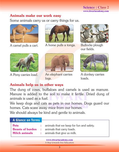 Ncert Solutions For Class 2 Science Chapter 3 Useful Animals