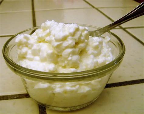 Full Fat Cottage Cheese Advantages And Disadvantages