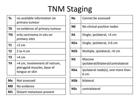 Ppt Tnm Staging Powerpoint Presentation Free Download Id3456637