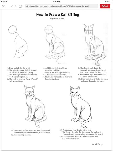 This Is How To Draw A Manga Warriors Cat Sitting Cat Drawing