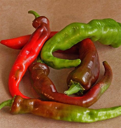 Large Red Thick Cayenne Pepper Seeds West Coast Seeds