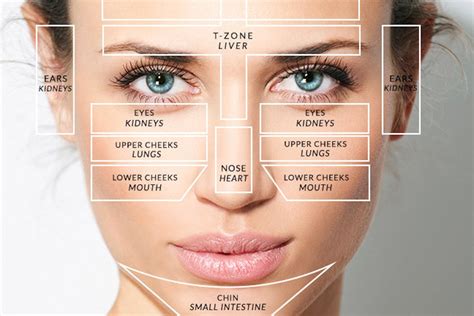 In other cases, acne might just be coincidental or genetic. What the Acne Face Map Reveals About Your Overall Health - MŪN