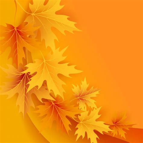 Autumn Maples Falling Leaves Background Stock Vector Image By