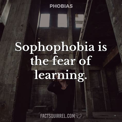 Sophophobia Is The Fear Of Learning Factsquirrel