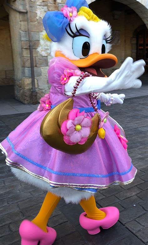 Pin By Vili Ohra Aho On Daisy Duck Daisy Duck Disney World Pictures