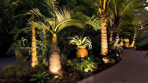 Landscaping Sarasota Florida With Tropical Palm Trees Youtube