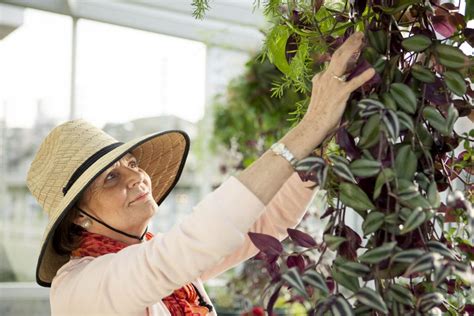Gardening Tips For Seniors In Bc Parc Retirement Living