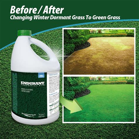 Buy Endurant Lawn Paint Concentrated Green Grass Paint For Lawn And