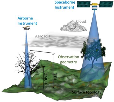 Remote Sensing Free Full Text End To End Simulation For A Forest