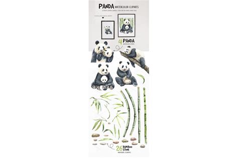 Panda With Bamboo Watercolor Animal Cliparts By Sapg Art Thehungryjpeg
