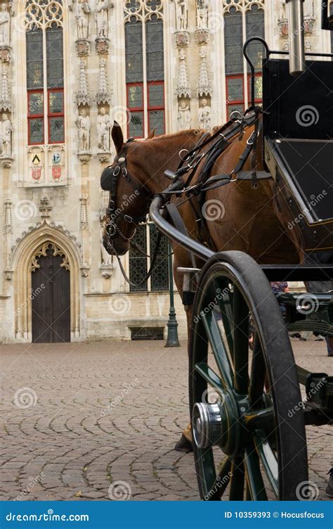 2014 Gothic Carriage Stock Photos Free And Royalty Free Stock Photos