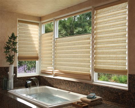 Vinyl blinds add a clean, sleek look to your windows at a fraction of the cost of other window treatments. Style, Comfort, and Convenience Are Yours With Roman ...