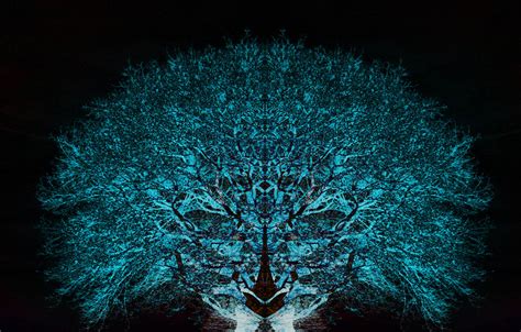 Browse our blue trippy images, graphics, and designs from +79.322 free vectors graphics. Psychedelic HD Wallpapers - Wallpaper Cave