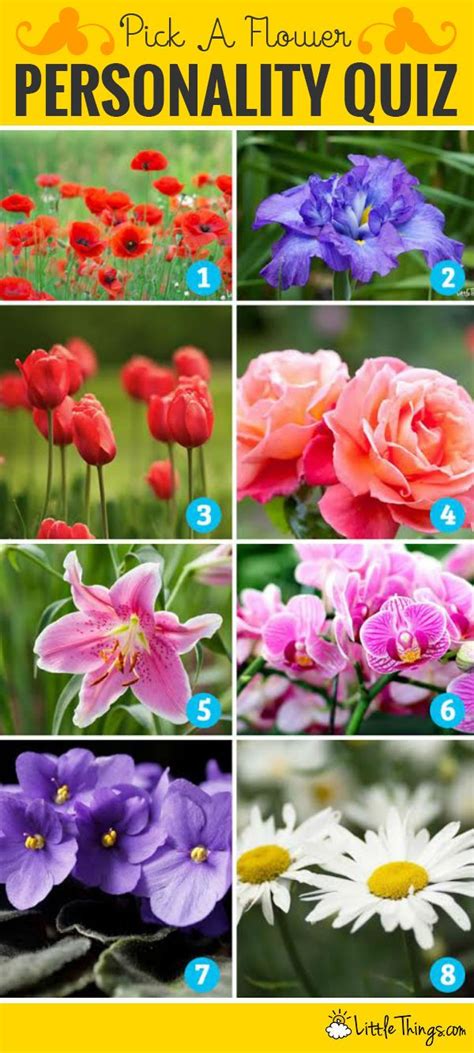 Which Flowers Your Favorite It Actually Reveals This Secret