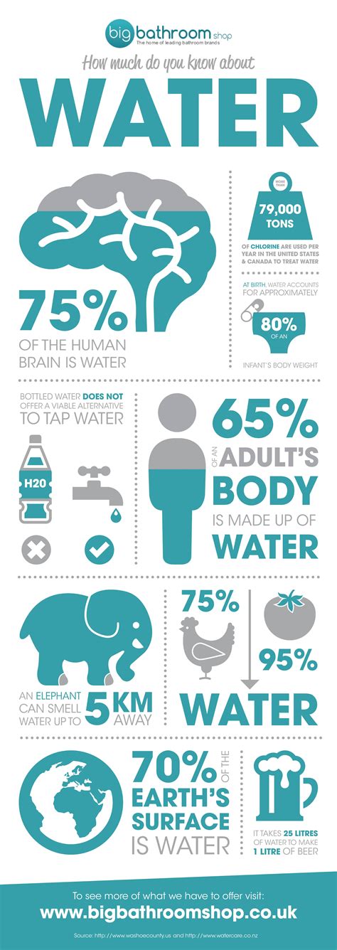 Water Facts How Much Do You Really Know About Water