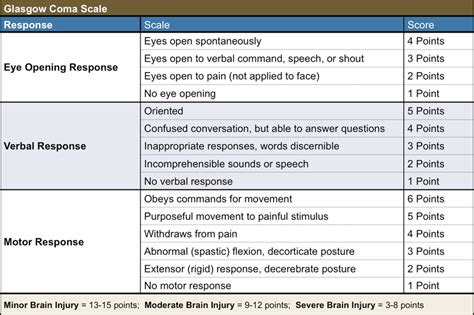 The Glasgow Coma Scale A Guide To Neurological Functioning — Firstclass