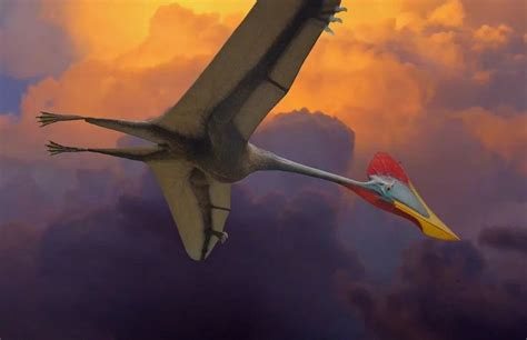 Giant Pterosaur Quetzaquotalosaur Misspelled Feathered Serpent