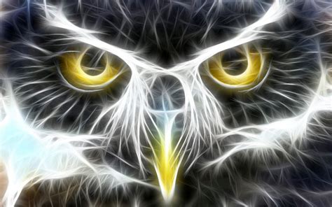 Neon Owl Wallpapers Top Free Neon Owl Backgrounds Wallpaperaccess