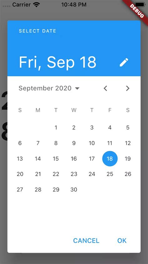T M Hi U S U H N V Datepicker Trong Flutter Laptrinhx