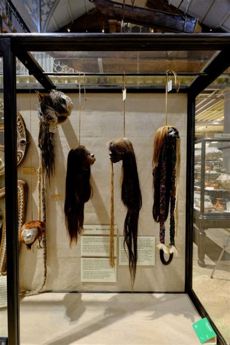 Pitt Rivers Museum Removes Human Remains After Ethical Review Museum