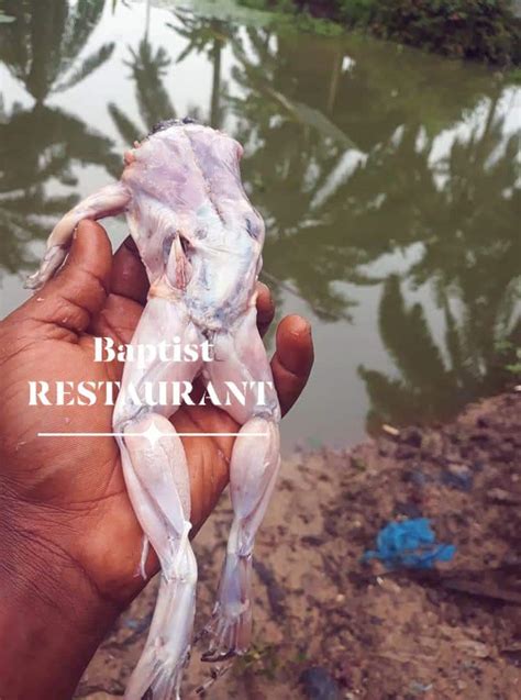 Both the igbo and yoruba facts are known for date. Nigerian man shares pictures of himself eating frog meat ...