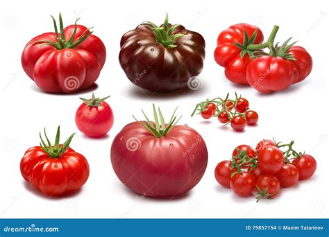 Set Of Different Tomato Varieties Stock Photo Image Of Heirloom