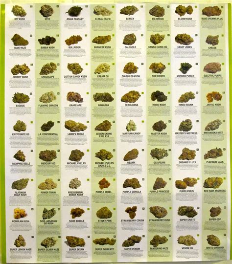 The History And Uses Of Cannabis – CanadaCannabisDispensary