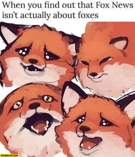 When You Find Out That Fox News Isnt Actually About Foxes