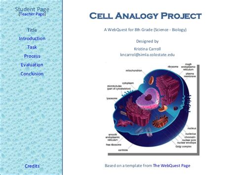 All organisms from bacteria to blue whale are made of cells. Cell Analogy Project