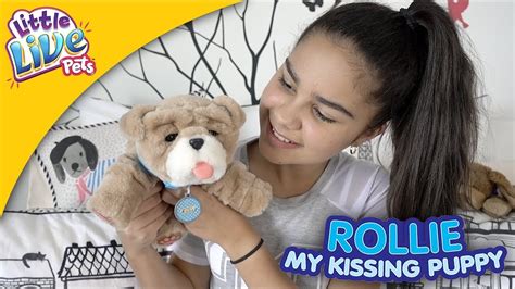 Rollie My New Puppy From Little Live Pets Graces Room Youtube