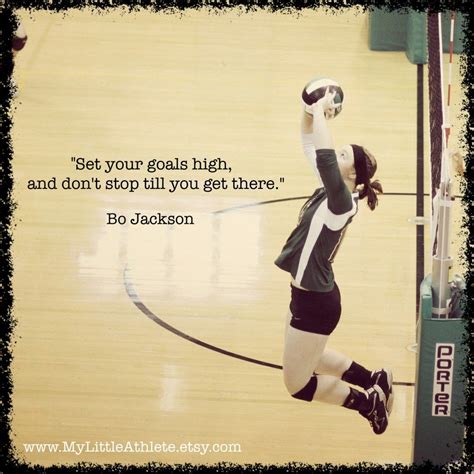 Inspirational Volleyball Quotes For Setters Desolatetoday