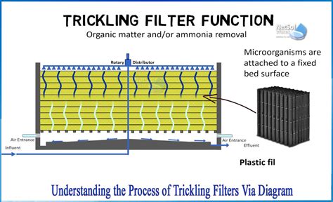 What Is Trickling Filters Explain Netsol Water