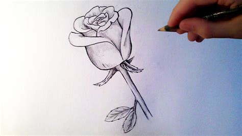 👍 Comment Dessiner Une Rose