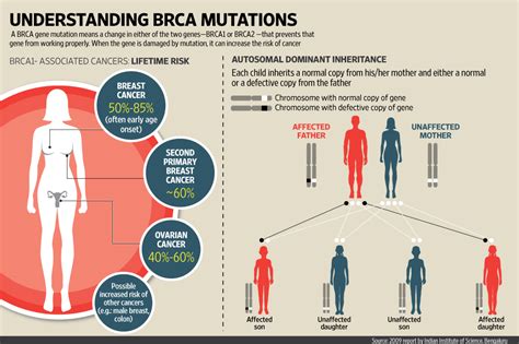 The Science Behind The Breast Cancer Gene Livemint