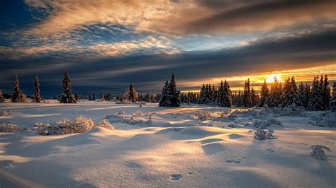 Download Wallpaper Winter Forest Snow Sunset Norway Norway