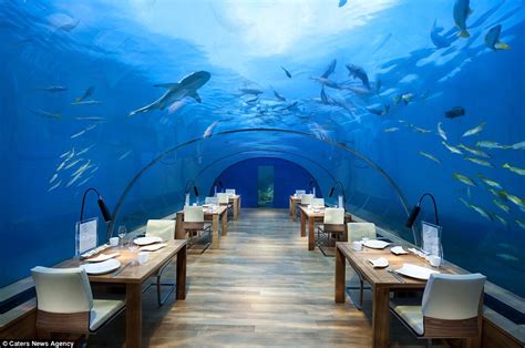 Inside The Conrad Maldvies Hotels Underwater Restaurant Daily Mail