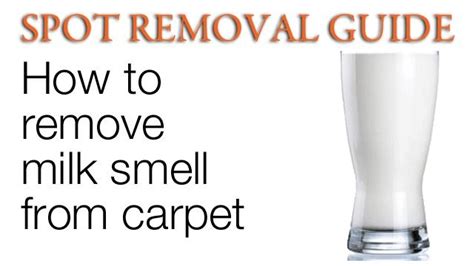 Only mix up the amount you will use in that amount of time as it will eventually diminish the effectiveness of odorxit. How to remove milk smell from carpet | SPOT REMOVAL GUIDE ...