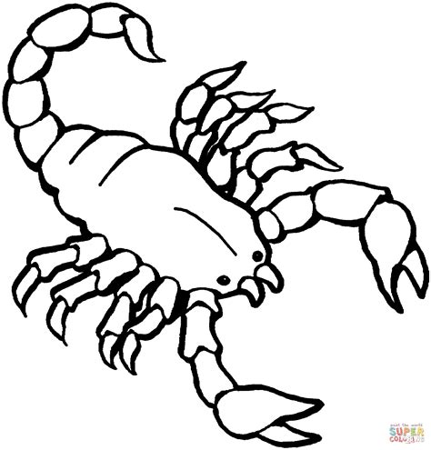 Ausmalbild Skorpion Ausmalbilder Kostenlos Zum Ausdrucken The Best