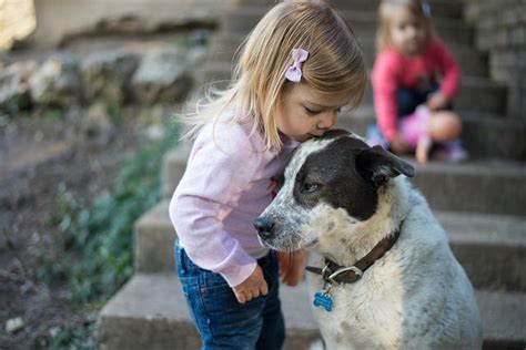 Child Safety 4 Tips For Teaching Safety Around Dogs