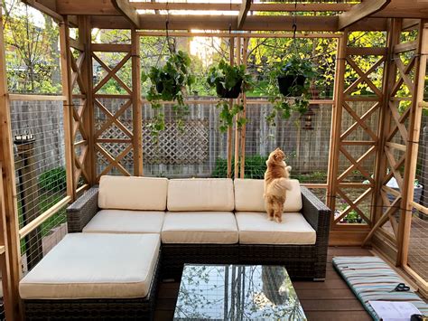How To Build A Custom Patio For Your Cat My Happy Pets