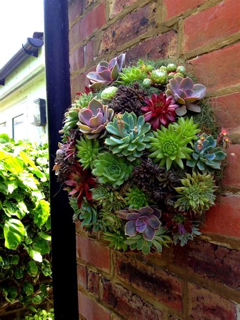 How to hang outdoor garland day 11 of the 12 days of christmas. 9 best images about Hanging plants for brick wall on ...