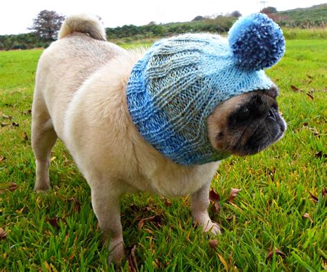 Knitted Bobble Dog Hat For Small Dog Etsy Dog Hat Bobble Small Dogs