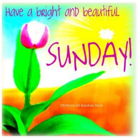 Have A Bright And Beautiful Sunday Pictures Photos And Images For