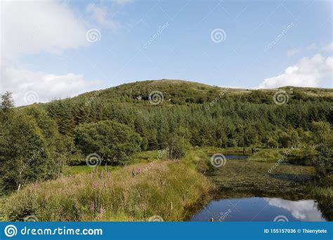 Highland Titles Nature Reserve Glencoe Scotland Stock Photo Image