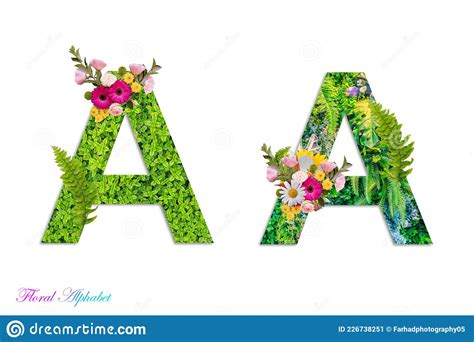 Alphabet Floral Lettres Florale Alphabet Botanique à Base De Fleurs Et