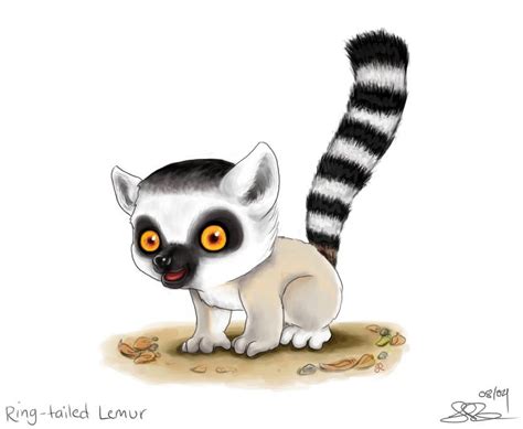 Ring Tailed Lemur By Capsicum On Deviantart