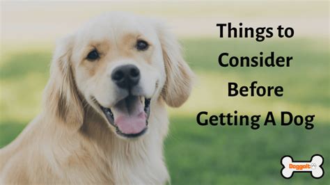 Pet sitting and boarding in billings. 7 Things to Consider Before Getting a Dog - Doggo It